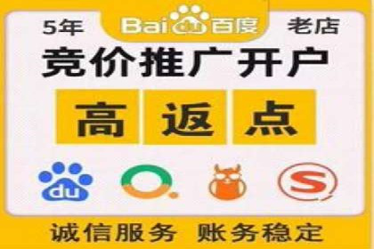 解析SEM推广代运营的优化技巧与策略